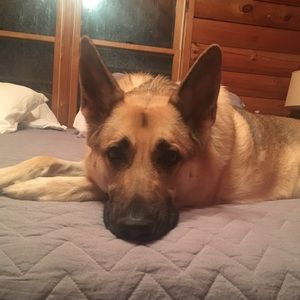 Meet your Posher, Heather